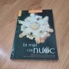 Bí Mật Của Nước - Masaru Emoto