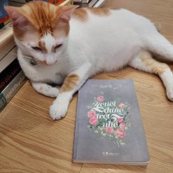 Người Dưng Trót Nhớ - Quỳnh Thy