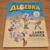 The Cartoon Guide to Algebra - Larry Gonick
