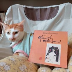 Già Ơi... Chào Bạn! - BS Đỗ Hồng Ngọc