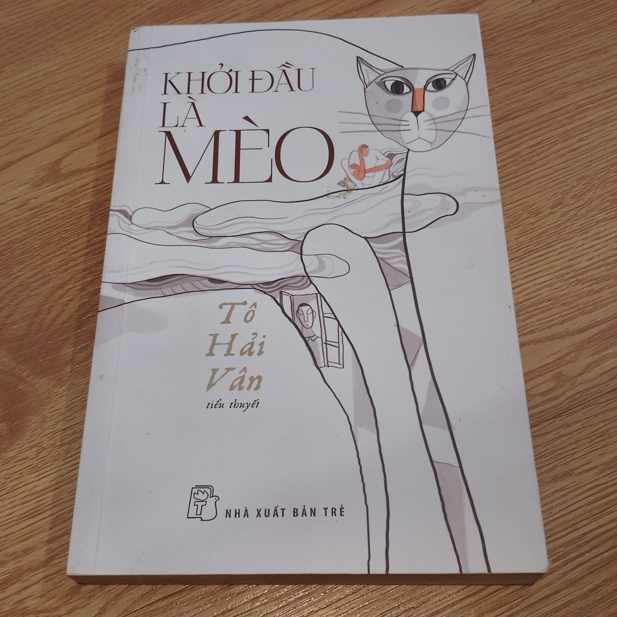 537261186_1346617377471550_8140285695366553704_n