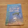 Du Lịch Trong Thế Giới Các Loài Vật Dưới Nước - Võ Châu, Hồng Châu