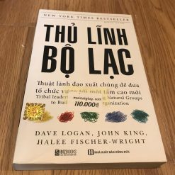 Thủ Lĩnh Bộ Lạc - Dave Logan, John King, Halee Fischer Wright