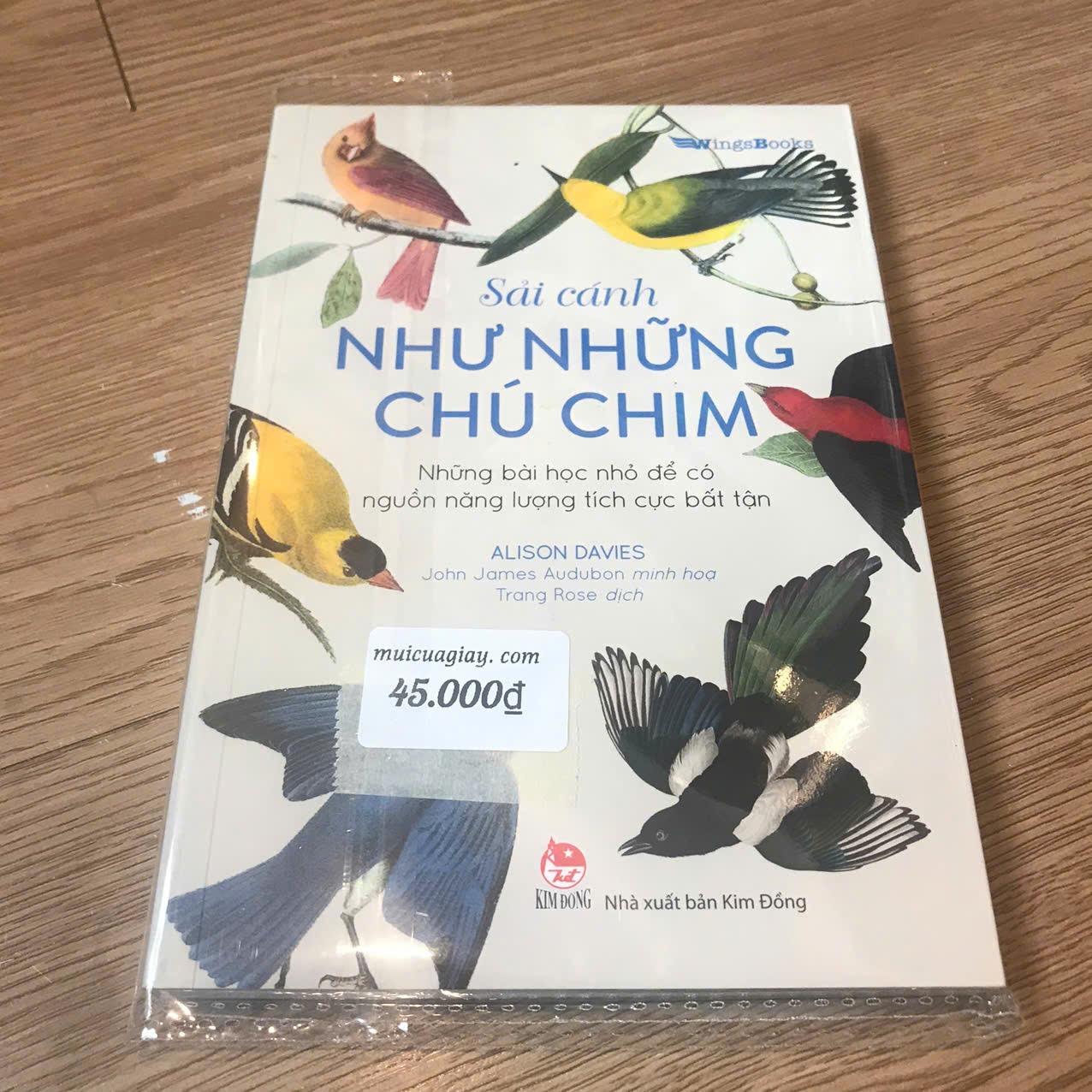 Sải Cánh Như Những Chú Chim-Những Bài Học Nhỏ Để Có Nguồn Năng Lượng Tích Cực Bất Tận - Alison Davies
