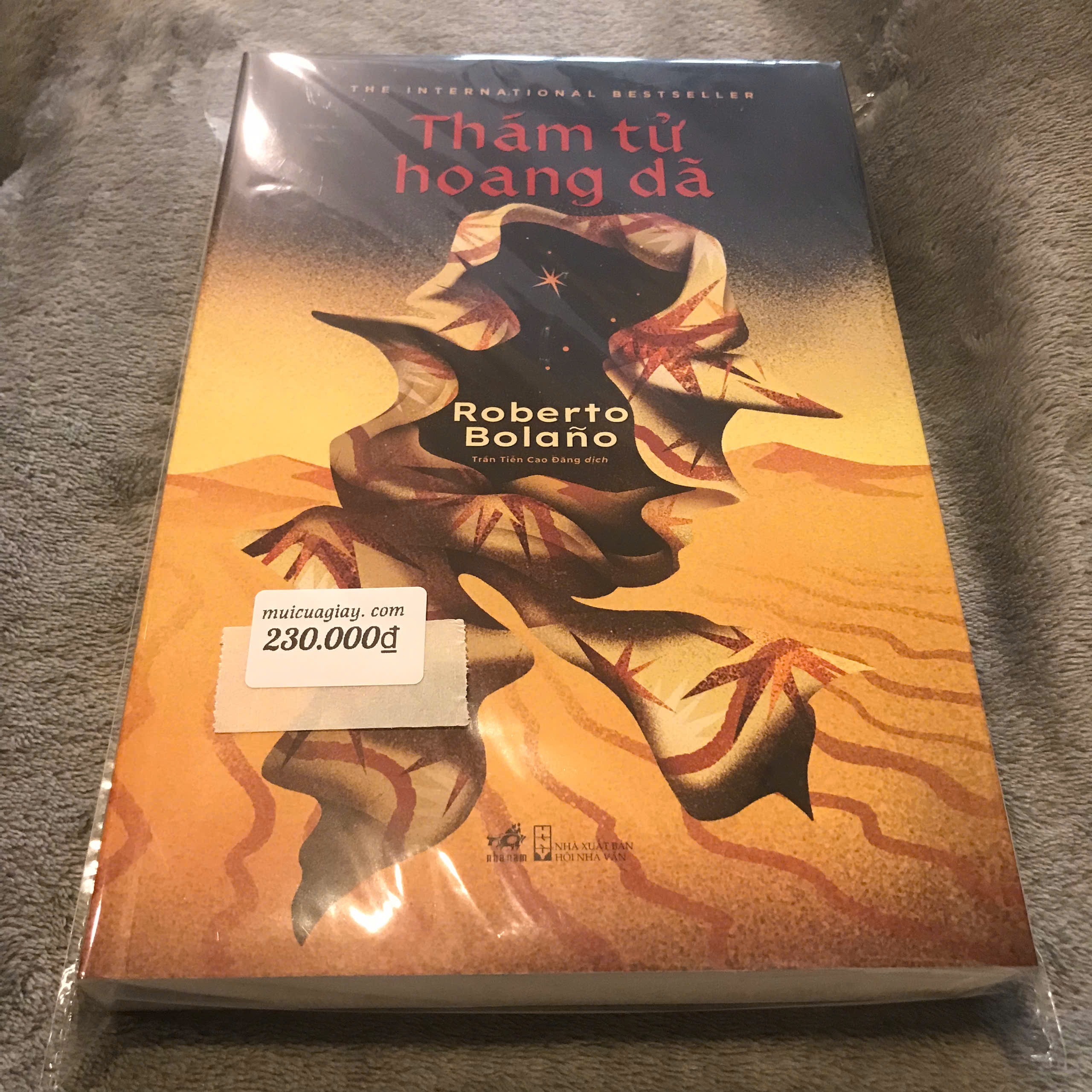 Thám Tử Hoang Dã - Roberto Bolaño